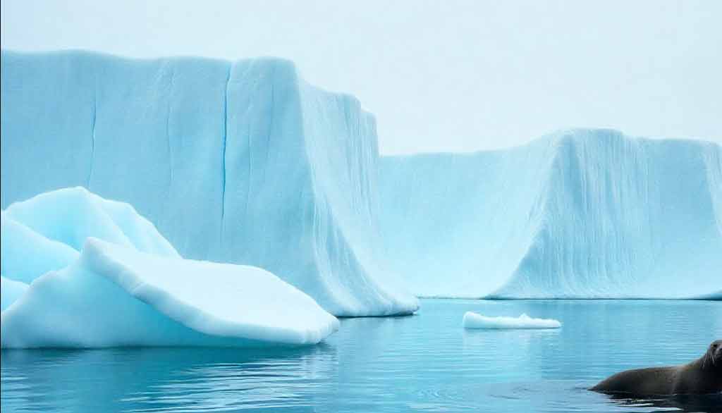 Fakta Menarik tentang Antartika yang Jarang Diketahui